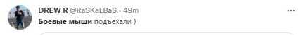 Мыши против россиян: в России быстро нашли замену \"боевым комарам\" - как отреагировала сеть (ФОТО)