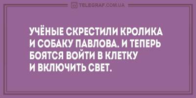 «Вы не по адресу»: четкие анекдоты для веселого вечера