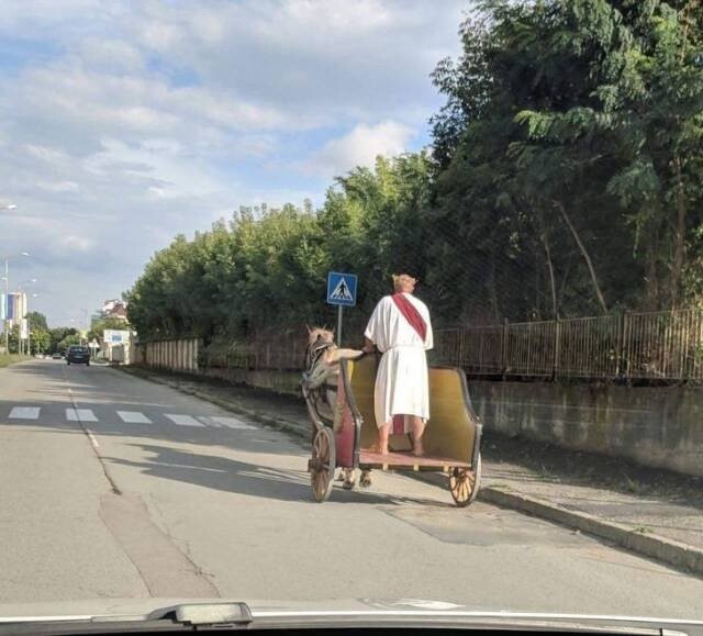 Курьезные фотографии со всего света