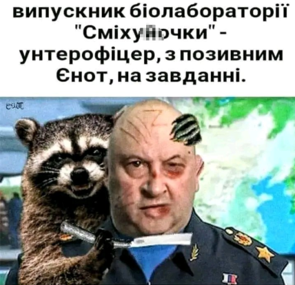 Єнот вкрали Херсон меми