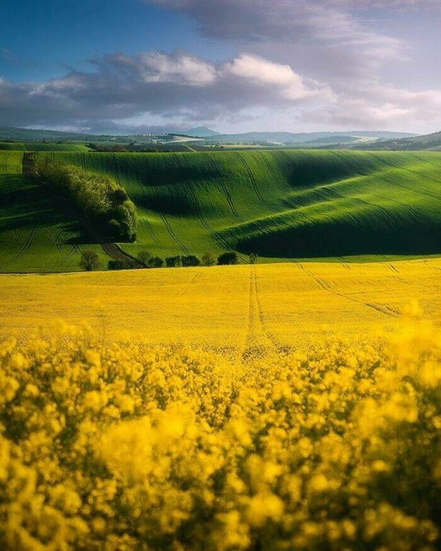 Будто из сказки (фото)