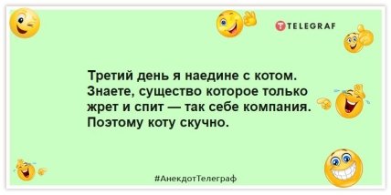 Анекдоты про котов