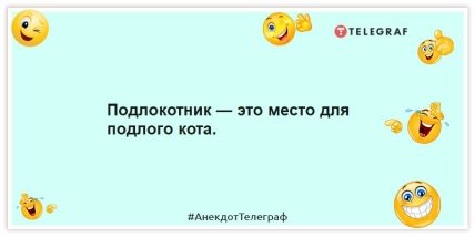 Анекдот про підлого кота