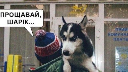 volyninfa.com.ua