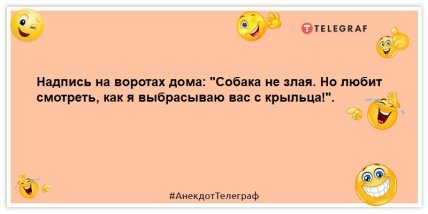 анекдот про собаку