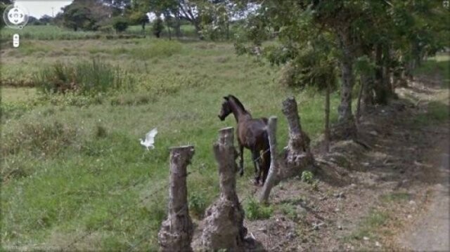 Всё самое интересное и прикольное с Google Street View 