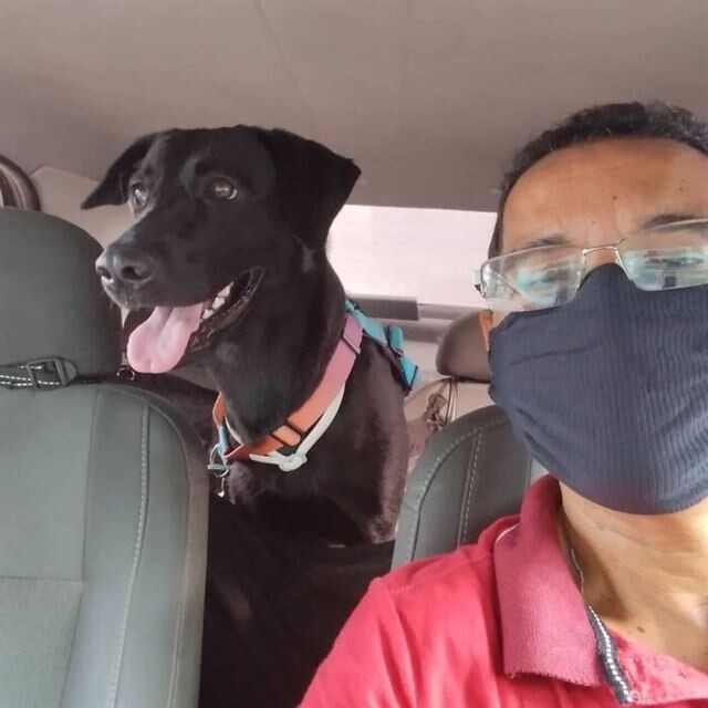 Водитель службы такси для домашних животных делает селфи с каждым из своих очаровательных пассажиров 