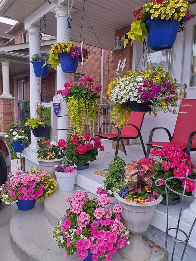Любителі квітів та садівництва діляться своїми творчими садовими проектами та ідеями (фото)