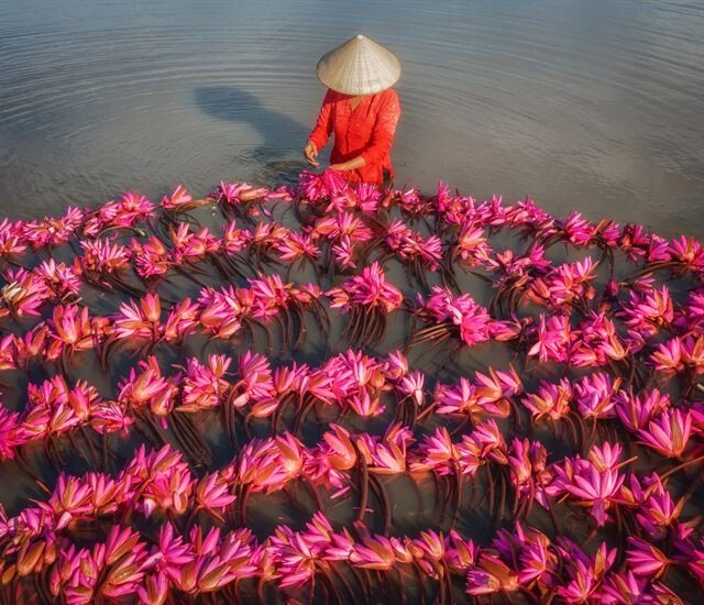 Роскошные аэрофотоснимки вьетнамского фотографа Фам Хюи Чунга (фото)