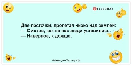 Анекдот про ласточек