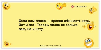 Приколы про котов - Если вам плохо — крепко обнимите кота. Вот и всё. Теперь плохо не только вам, но и коту.