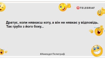 Помыть кошку в ванной — это как провести обряд экзорцизма: новые шутки о братьях наших меньших