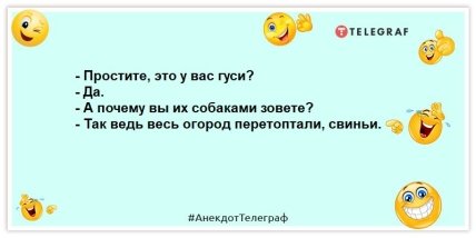 анекдот про птиц