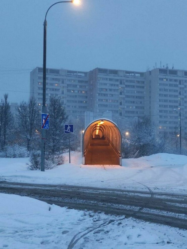 Добірка фото-приколів