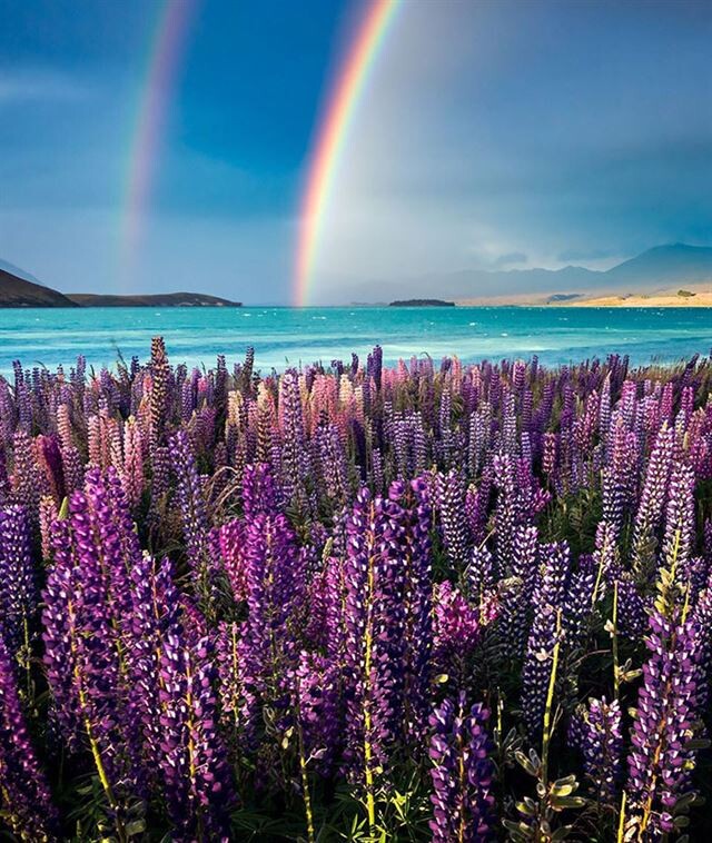 Самые удивительные места, которые стоит посетить в Новой Зеландии