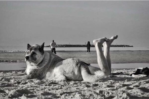 Уличные фотографии: смешные, сбивающие с толку, красивые 