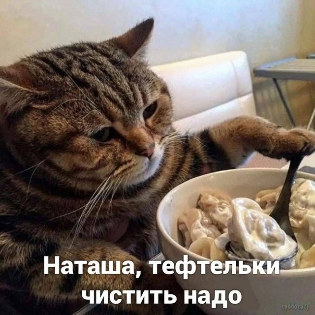 Свежие прикольные картинки