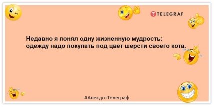 Сторож склада бижутерии живет очень бедно, но очень красиво: лучшие анекдоты (ФОТО)