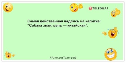 Люди, которые читают газеты, сидя на унитазе, готовы к любым новостям! Обалдеете от этих шуток (ФОТО)