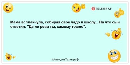 У студентському гуртожитку зникла кішка.  Ось такі пироги: ранкові жарти прикольні (ВІДЕО)