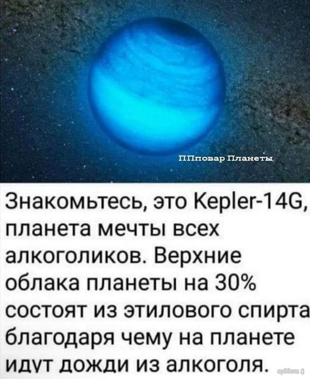 Свежие прикольные картинки