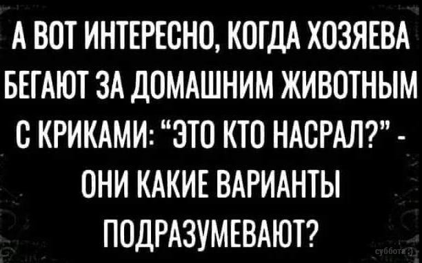 Свіжі прикольні картинки