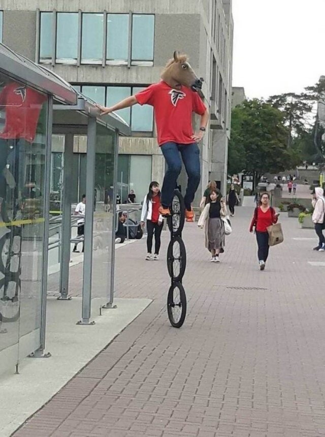 Порція курйозів та абсурду на фотографіях