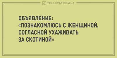 Свежая подборка искрометных анекдотов 