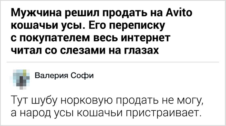 20+ дотепних коментарів читачів AdMe, які заслуговують на тисячі лайків