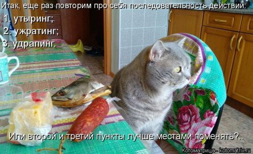 Смешные котоматрицы на все случаи жизни