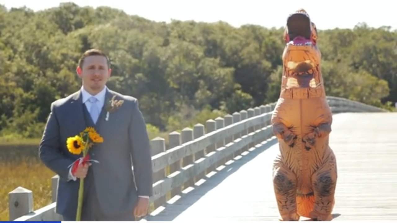 Amerikanka prishla na svadbu v kostyume dinozavra