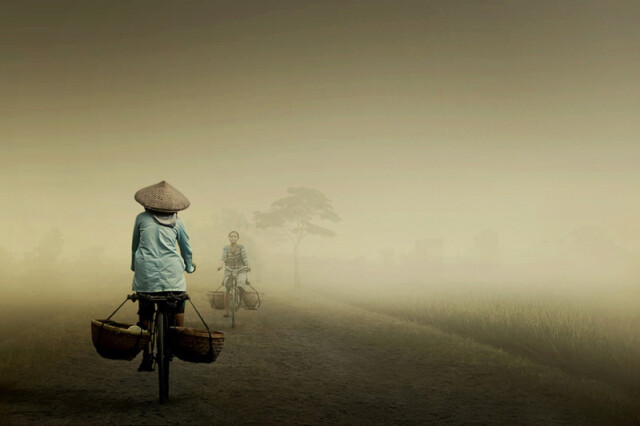 Індонезійське життя в атмосферних фотографіях Сукрона Мамуна