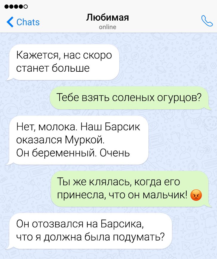 16 СМС від других половинок, яких хлібом не годуй - дай щось відчебучити