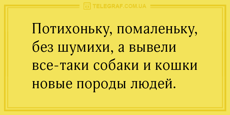 Свіжа «порція» анекдотів на всі випадки життя