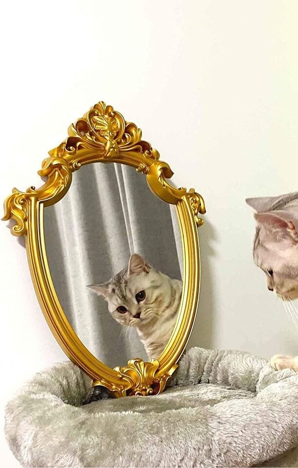 Веселі фотографії з оголошень з продажу дзеркал