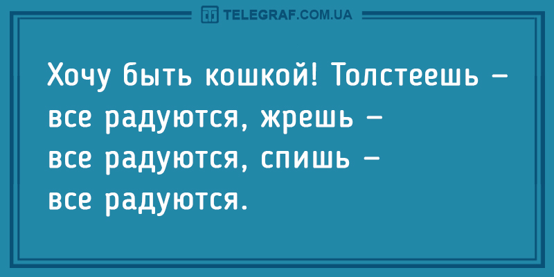 Свежая подборка анекдотов для поднятия настроения