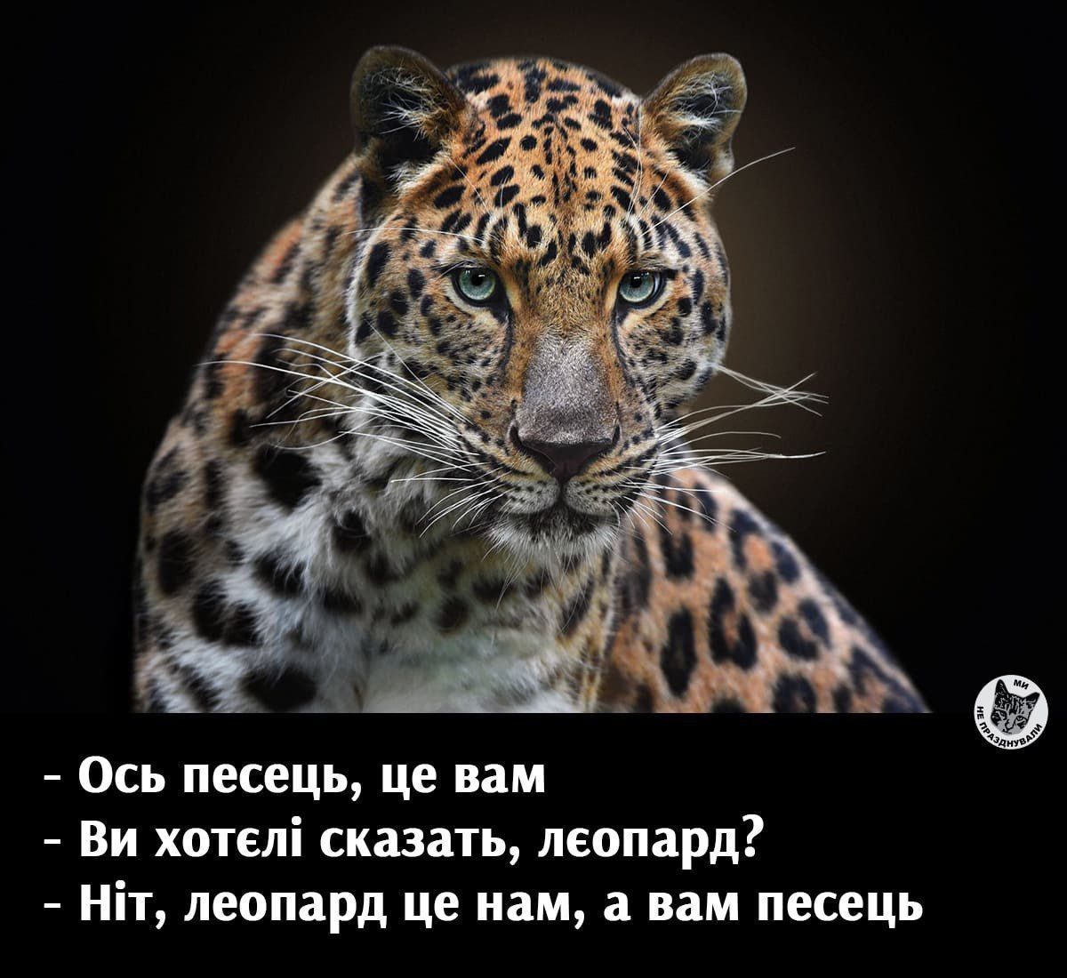 Мемы о леопардах заполонили Сеть из-за колебаний Германии по танкам Leopard (ФОТО)