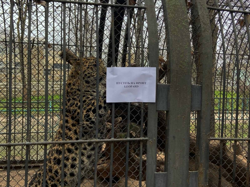 Директор Миколаївського зоопарку запропонував обміняти леопардів на танки Leopard (ВІДЕО)