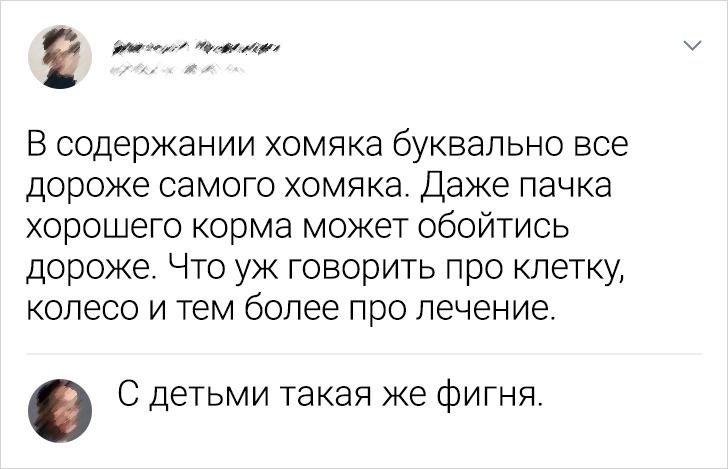 15 комментаторов, которые не пройдут мимо поста в интернете, не добавив щепотку остроумия