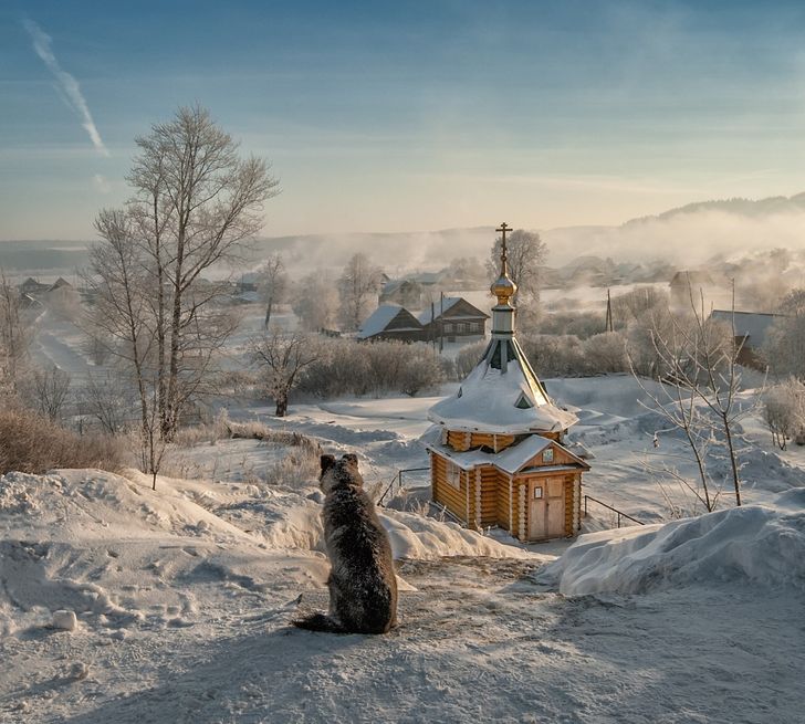 20 потрясающих фотографий, которые покорили нас