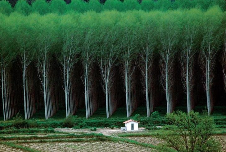 20 чудових фотографій, які підкорили нас