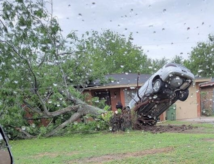 19 фото, всю іронію яких помічаєш з першого погляду