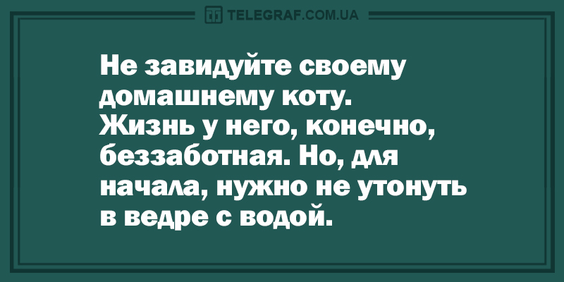 Веселые анекдоты для ценителей качественного юмора