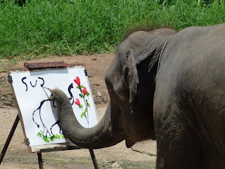 Nos voyages 2011: Chiang Maï : radeau, éléphants et tigres