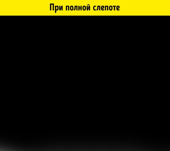 Как видят наш мир люди в 15 разных состояниях