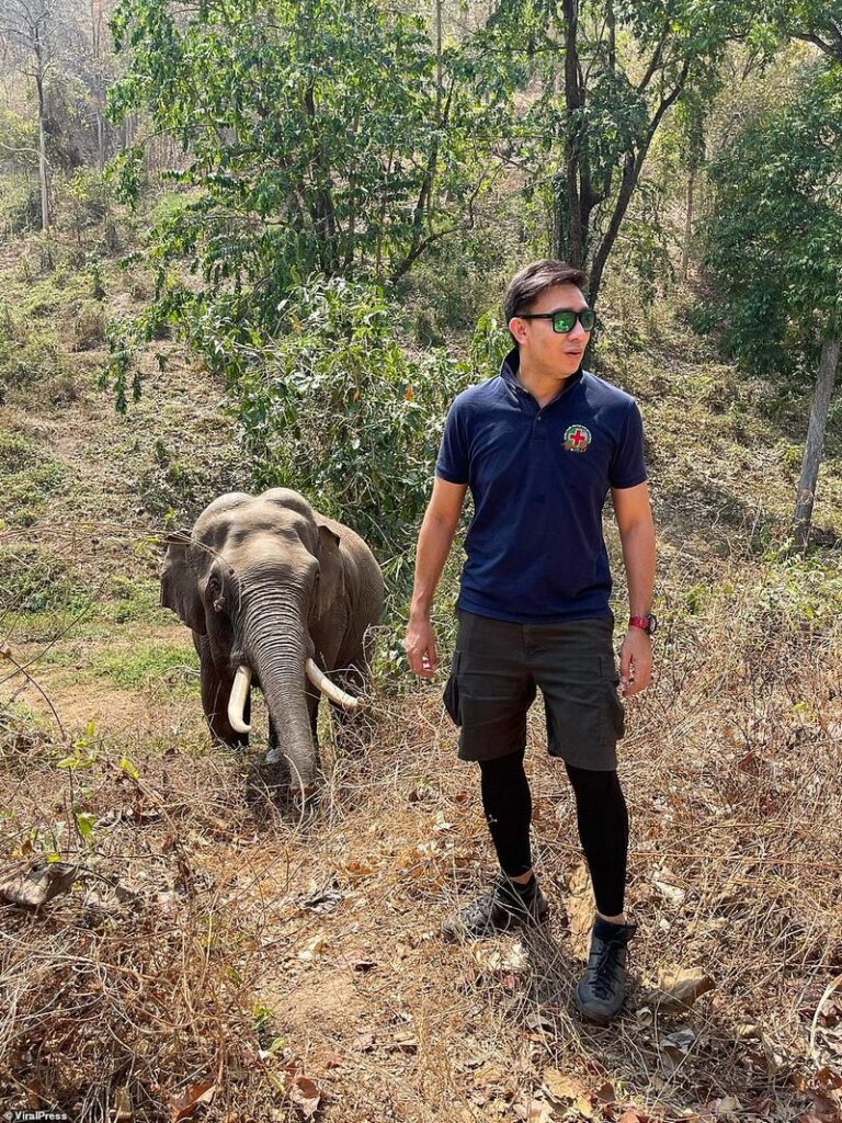 Слон узнал мужчину, спасшего его 12 лет назад