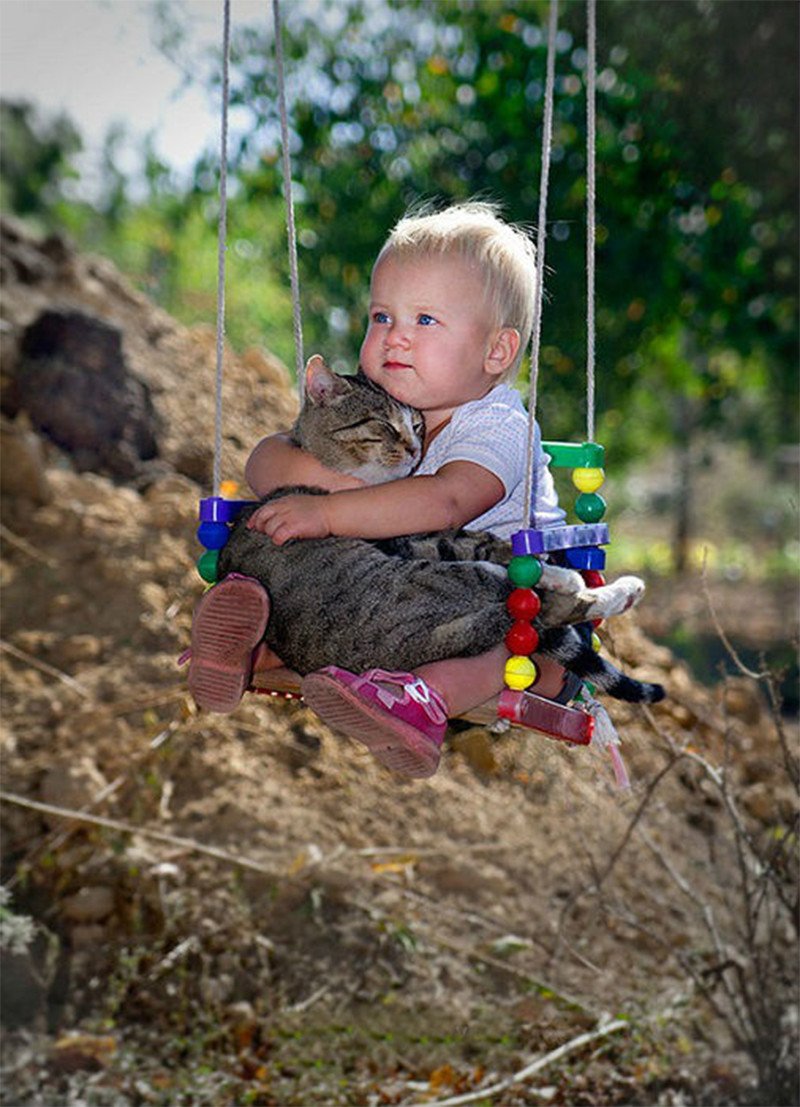 Детки с очаровательными кошками (ФОТО)