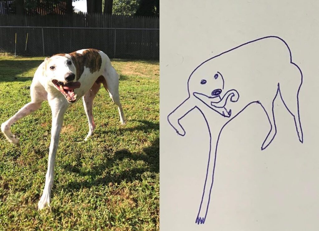 Дівчина запустила флешмоб завдяки безглуздому малюнку собаки