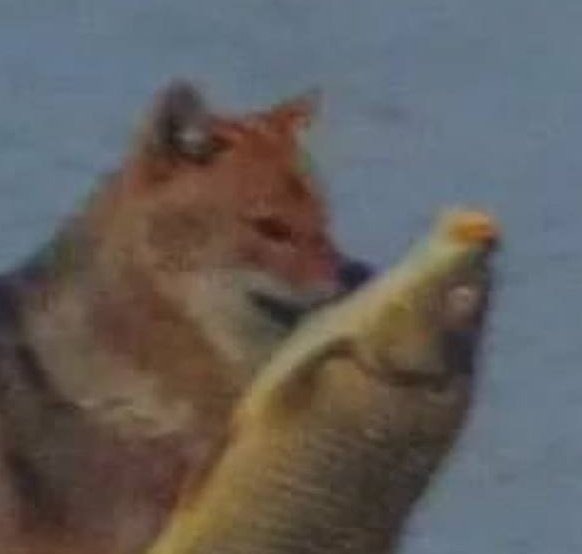 На Одещині хитрий шакал вкрав величезну рибу у зграї птахів: кумедне відео