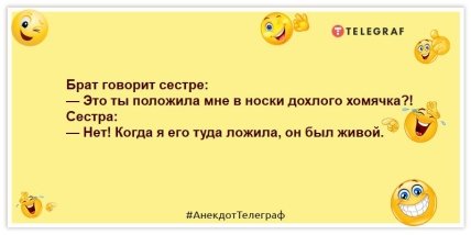 Анекдоты про братьев и сестер